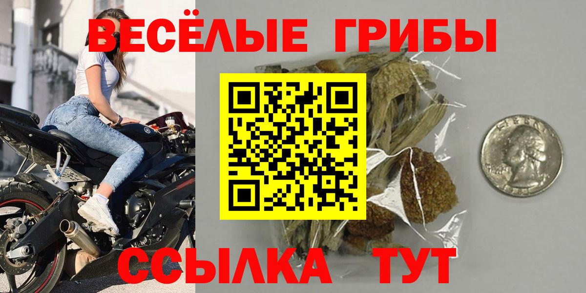 Котельники  Галлюциногенные грибы прущие грибы  Псилоцибиновые грибы мухоморы  Вход с VPN 